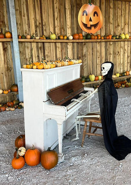 A skeleton figure in a black cloak plays a white piano in a rustic setting