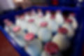 Blue crate filled with glass milk bottles with red foil caps