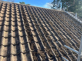 A tiled roof covered with patches of moss and dirt under a clear blue sky