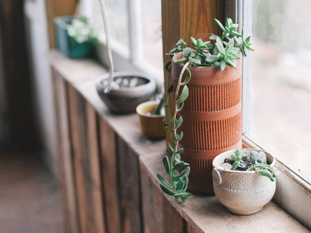 GREEN WINDOWS & GREEN THUMBS