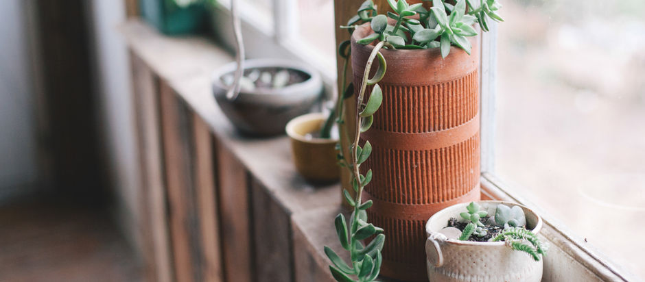 GREEN WINDOWS & GREEN THUMBS