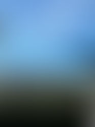 Die österreichische Literatur im Wandel der Zeit und ihre Befreiung von der Vergangenheit