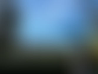 Die österreichische Literatur im Wandel der Zeit und ihre Befreiung von der Vergangenheit