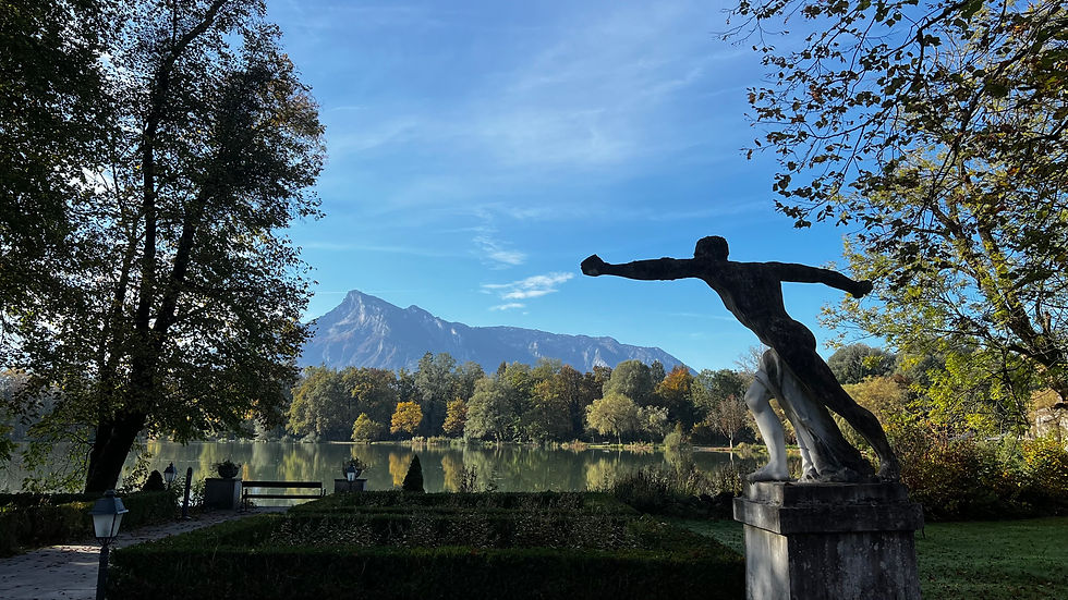 Die österreichische Literatur im Wandel der Zeit und ihre Befreiung von der Vergangenheit