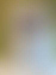 Ausstellung „Komplett Kafka“