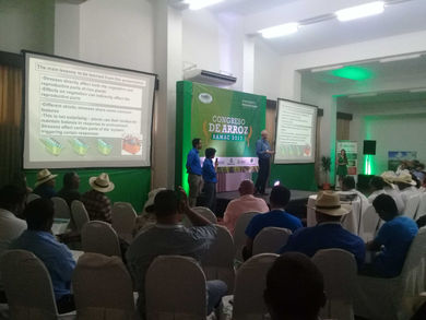 Más de 150 productores de arroz participaron en exitoso congreso