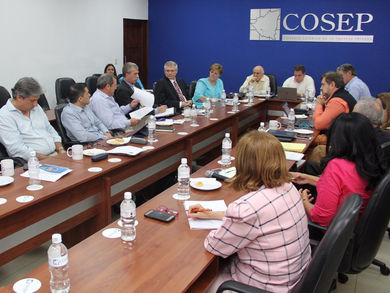 COSEP se reunió con Embajadora Laura Dogu
