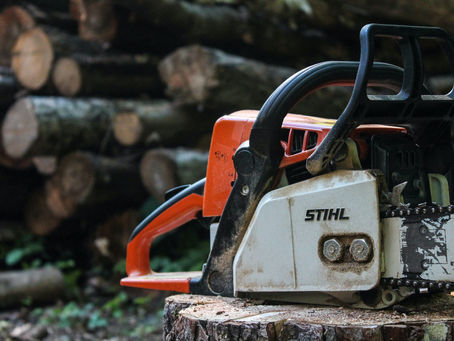 Bernstein: Free trading is like giving chainsaws to toddlers