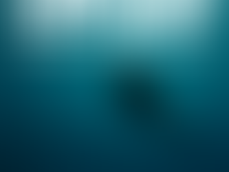 Should you buy gold?