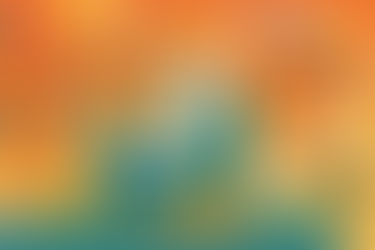 Illustration: calm figure relaxing with money falling around them while frantic figures run chaotically in Trump-era backdrop