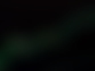 Investor analysing data and charts illustrating investing at market highs, representing confidence and evidence-based decision-making at record market levels.