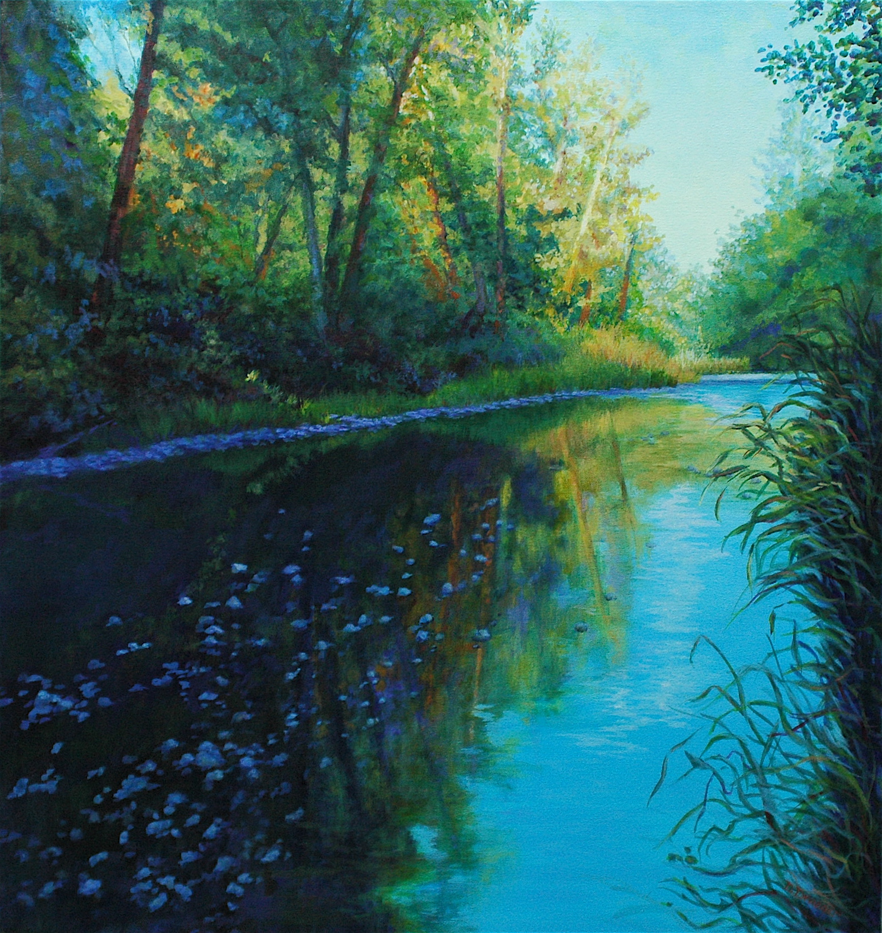 Summer on the River