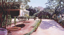 Mehera's Garden
