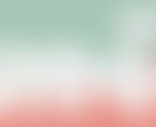 What are wisdom teeth?
