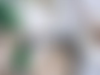 Natural Skin Care Products