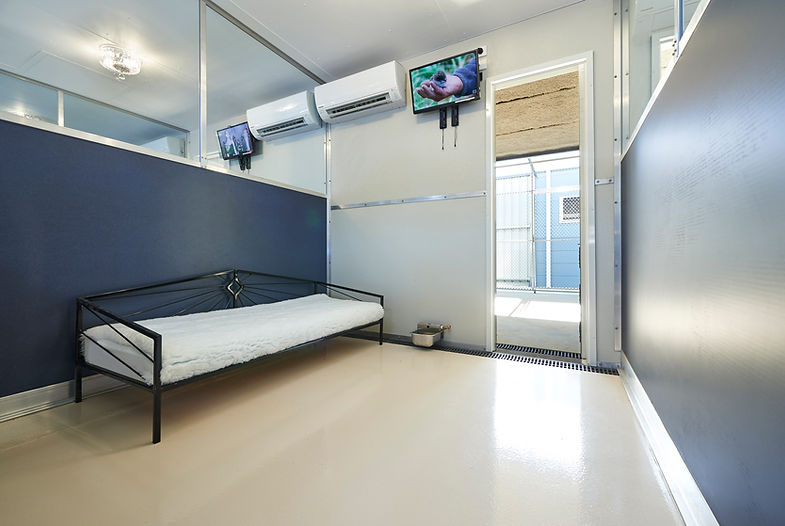Room1Lux.JPG