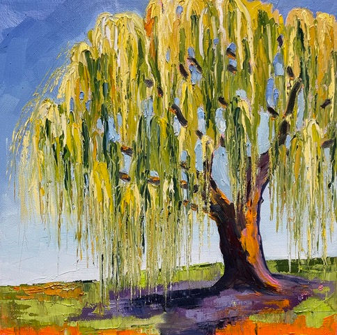 Willow Weeping, 2025 (A43)
