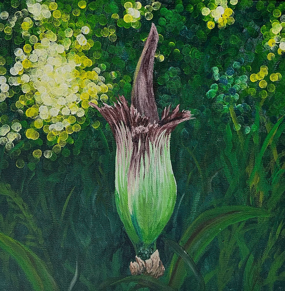 Corpse Flower, 2025 (C29)