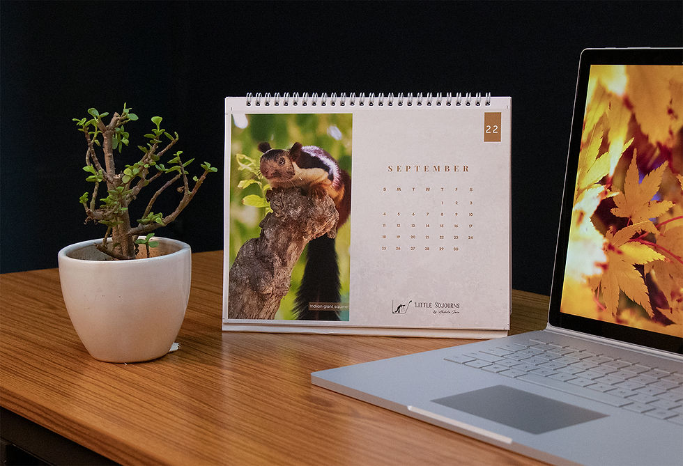 Thumbnail: 'The Wonders of the Wild' - Photo Calendar 2022