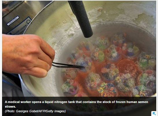 Frozen semen straws, photo by Getty. From Military Times article.
