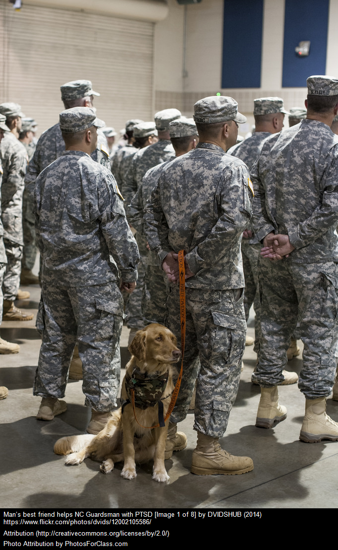 How PTSD got its name
