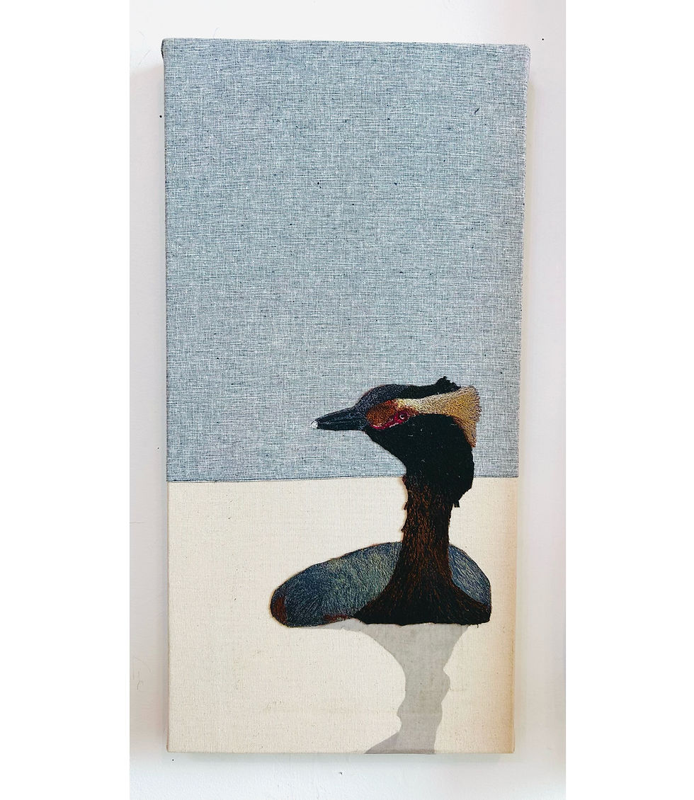 Thumbnail: Abandoned Horned Grebe , 2026