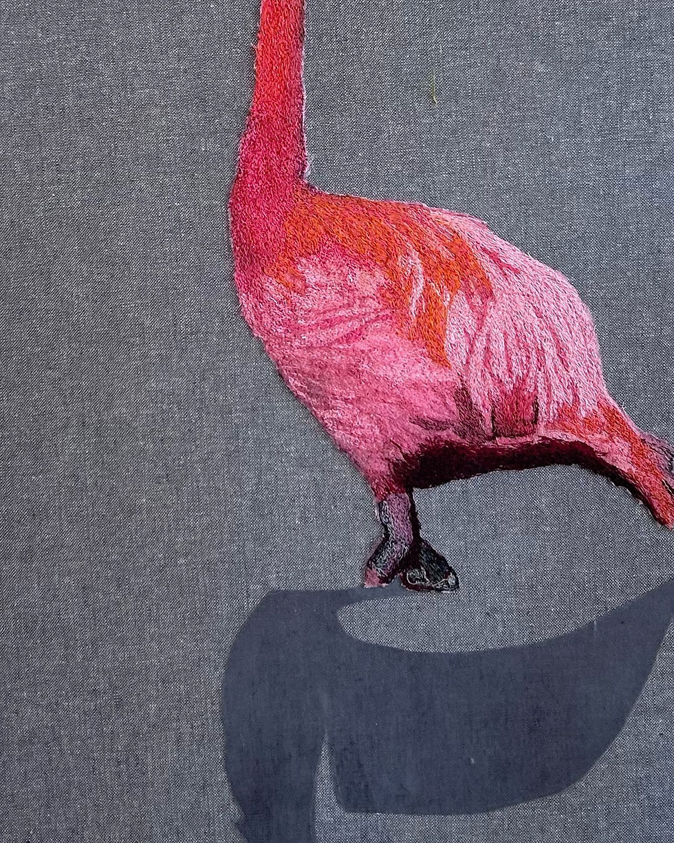 Thumbnail: Abandoned American Flamingo, 2026