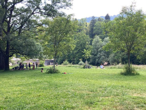 Allmend Brunau – zu Tode reguliert?