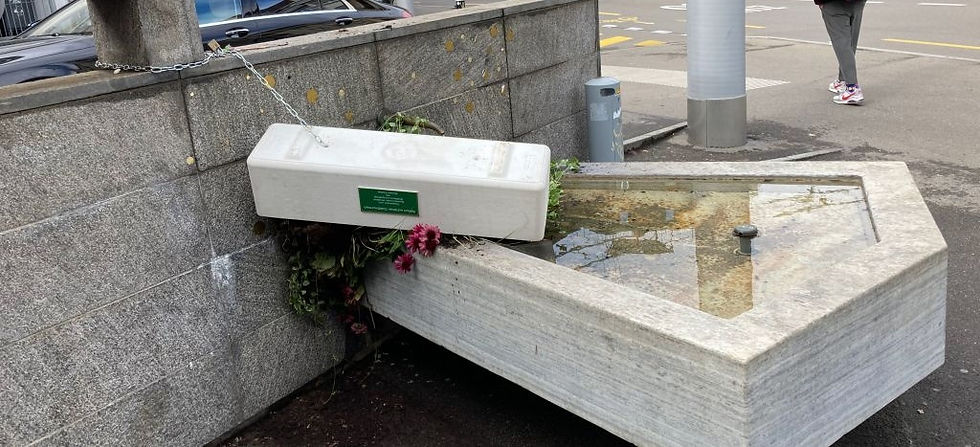 Neue Pflanzen am Goldbrunnenplatz