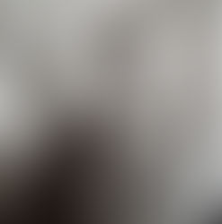 Ein Wiediker Bub schüttelt Adolf Hitler die Hand