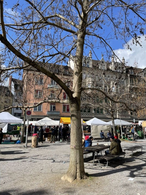 Hinter den Marktständen kann man sich auf Bänken ausruhen