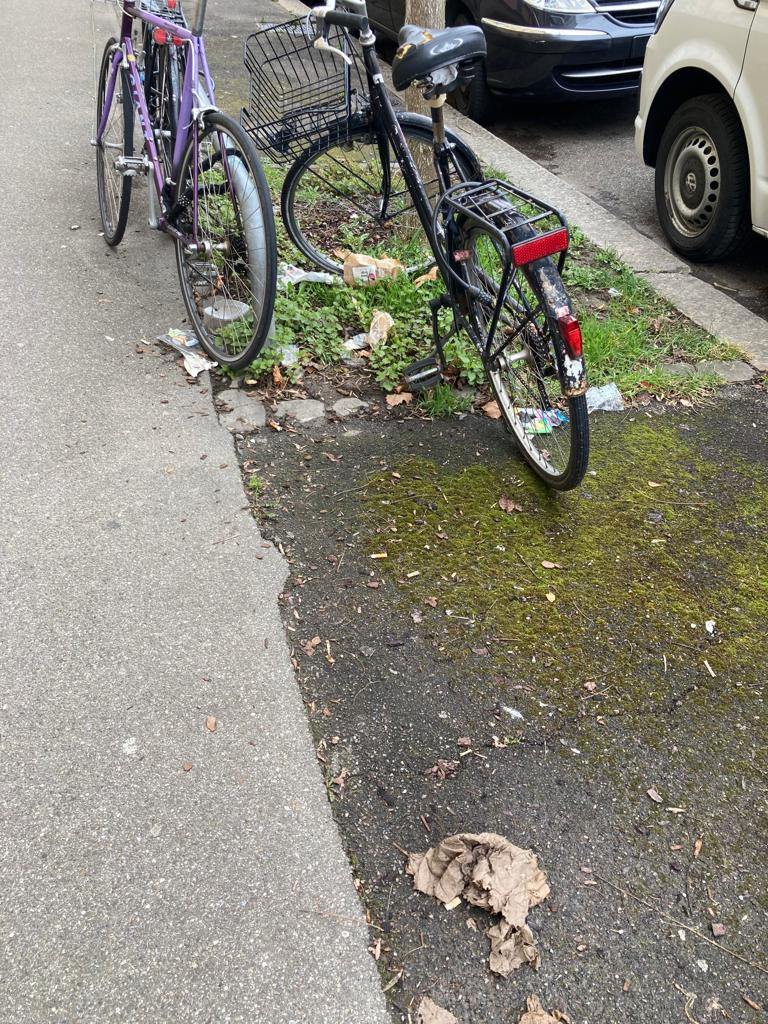 Grüner Parkplatz beim Baum