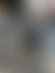 Schräger Vogel Zwingli auf dem Idaplatz