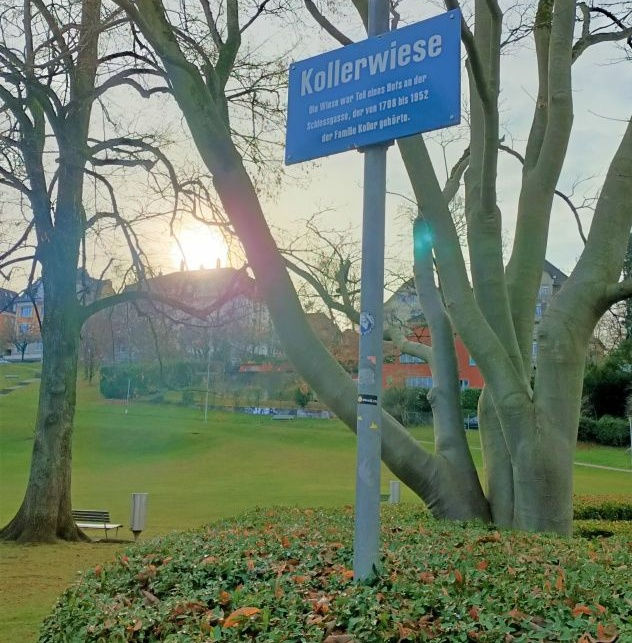 Kollerwiese – Blick von unten
