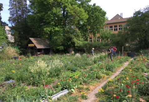Die «Charlottengärtnerin»