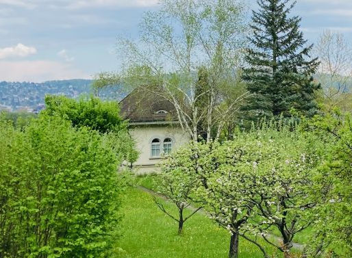Das schreibt der Stadtrat zum Albishof