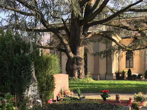 Friedhof Sihlfeld: Stadt Zürich muss nachbessern