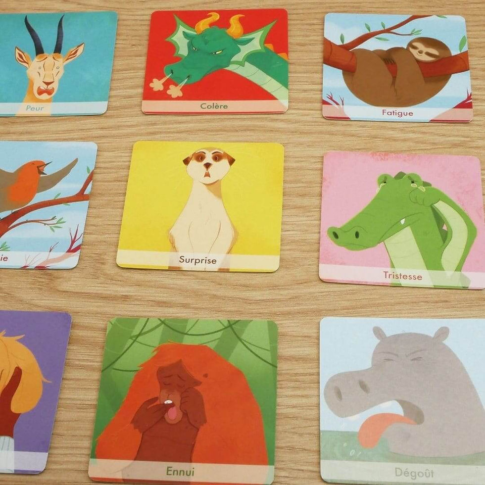 Miniature : Les cartes du jeu Empathico