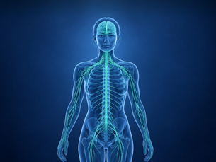 Diferença entre neurologista e neurocirurgião: quando procurar cada um