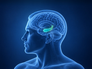 Epilepsia tem cura? Quando a cirurgia é indicada