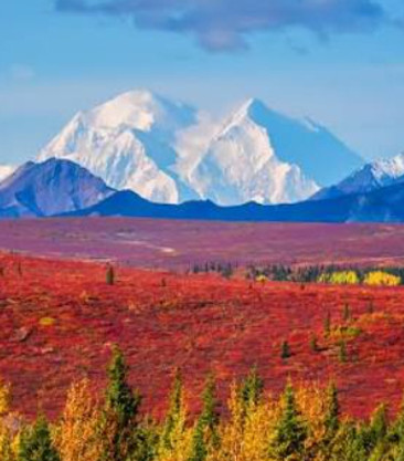 denali_edited.jpg