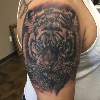 eddie tiger.webp