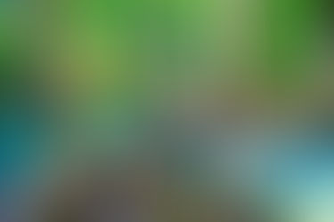 5月のスペシャルヨガレッスンのお知らせ