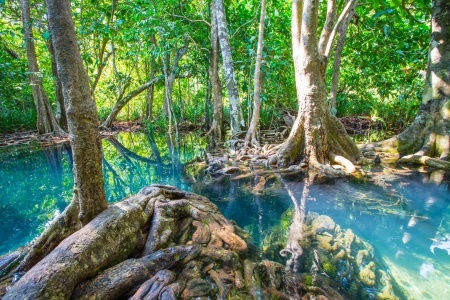 5月のスペシャルヨガレッスンのお知らせ