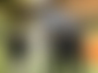 Ausbau Kooperation Hawkeye Tennisakademie