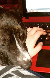 Editing troubles #dogtroubles.jpg
