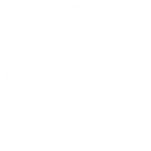 capabilities icon.png
