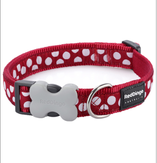 red dingo bumble bee collar