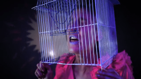Aterciopelados