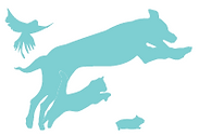 Logo.png